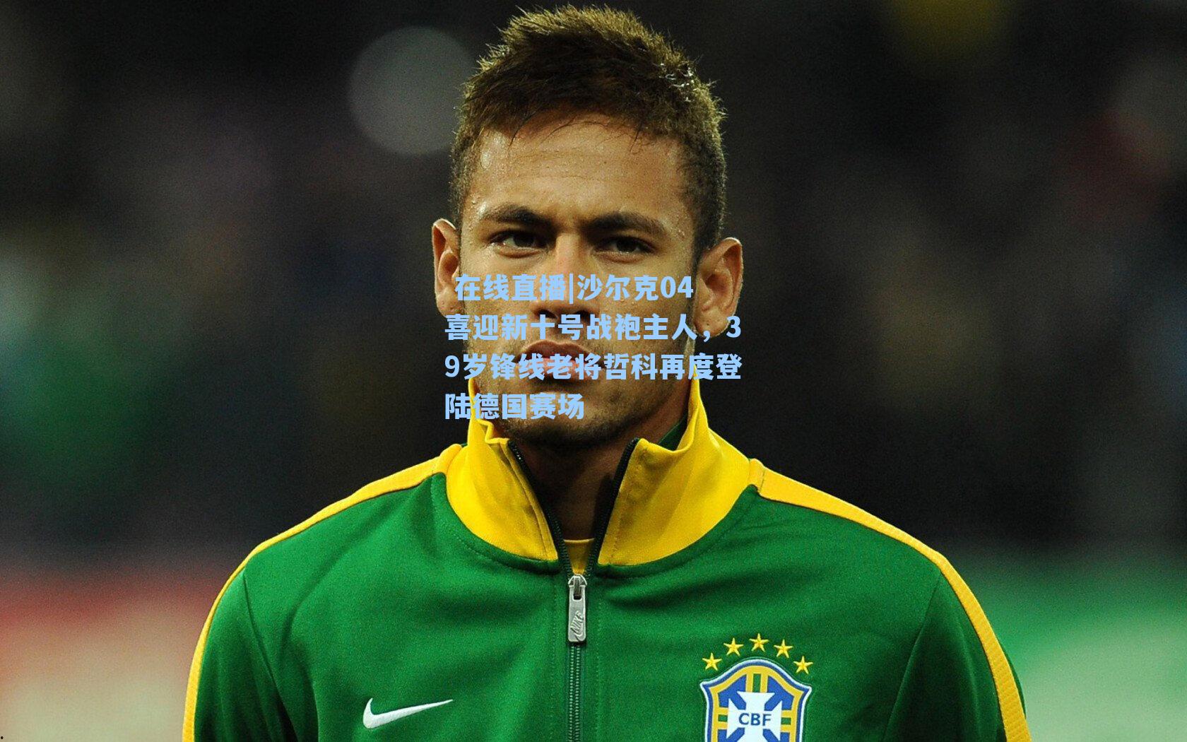 沙尔克04喜迎新十号战袍主人，39岁锋线老将哲科再度登陆德国赛场