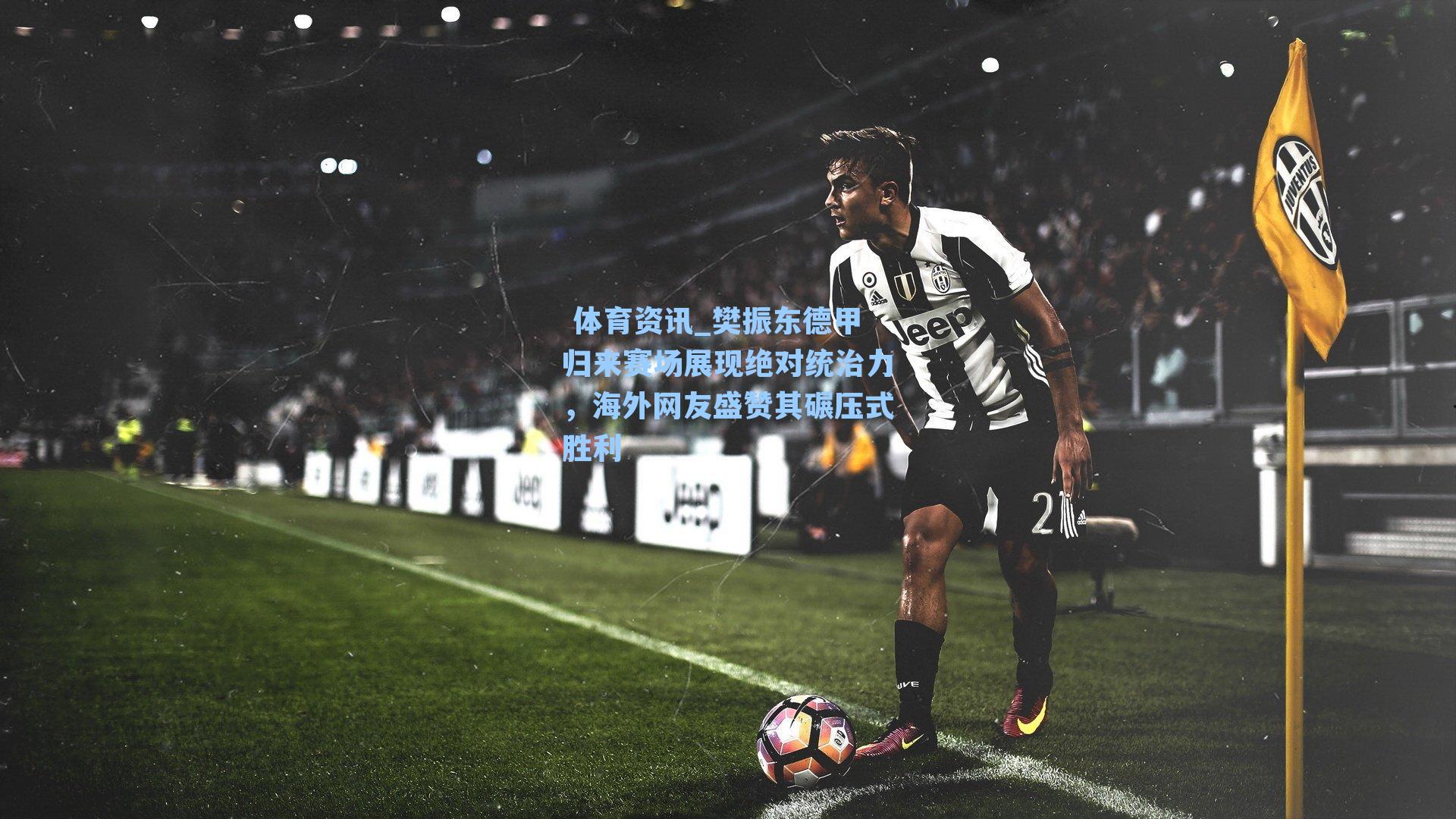 樊振东德甲归来赛场展现绝对统治力，海外网友盛赞其碾压式胜利