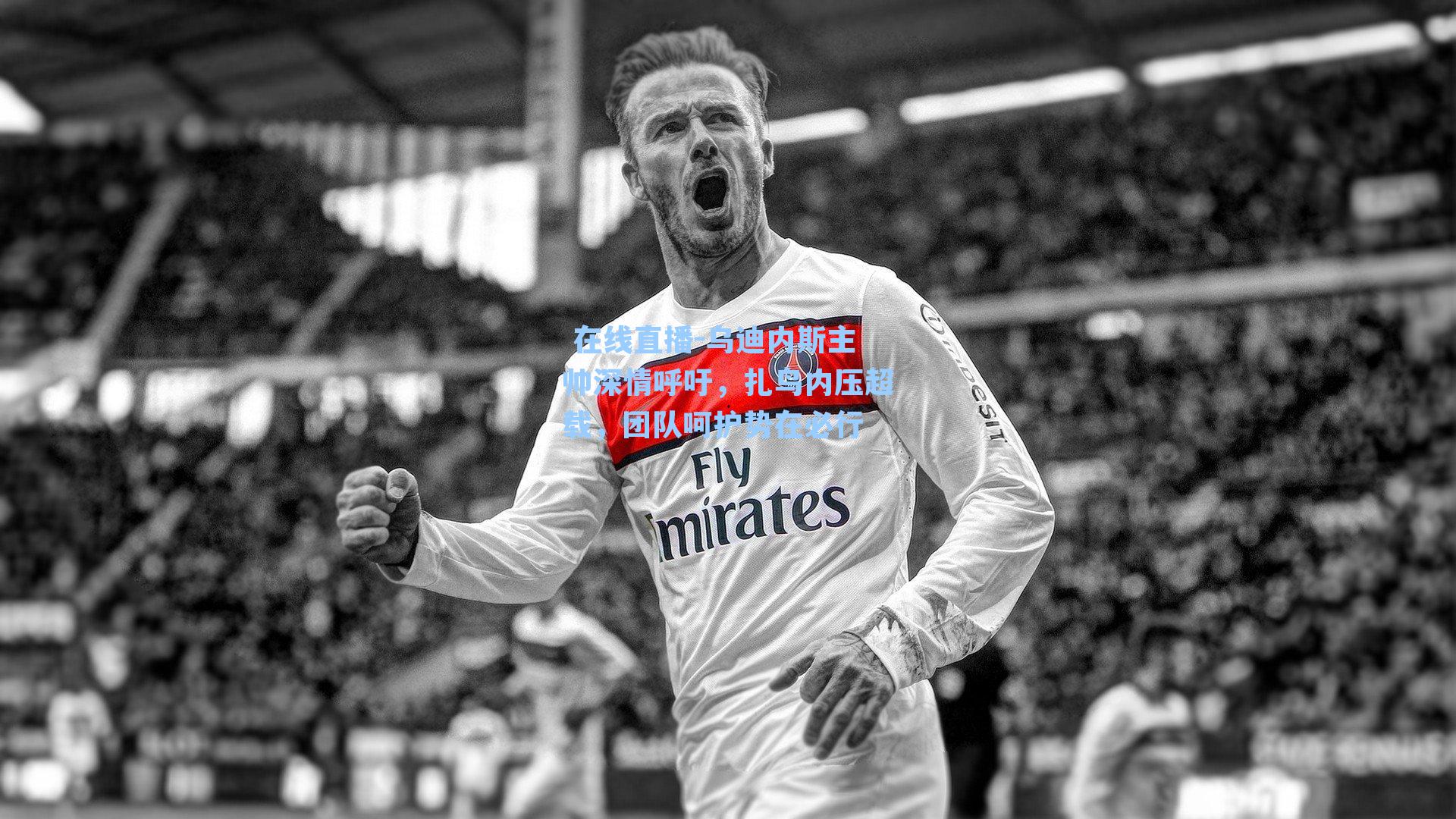  在线直播-乌迪内斯主帅深情呼吁，扎鸟内压超载，团队呵护势在必行